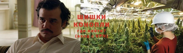 ECSTASY Богданович