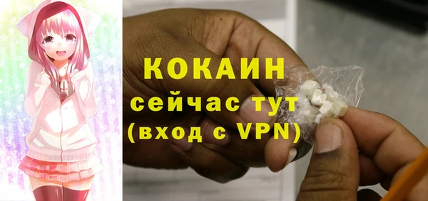 ECSTASY Богданович