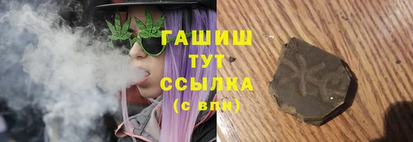 ECSTASY Богданович