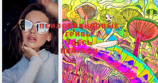 ECSTASY Богданович