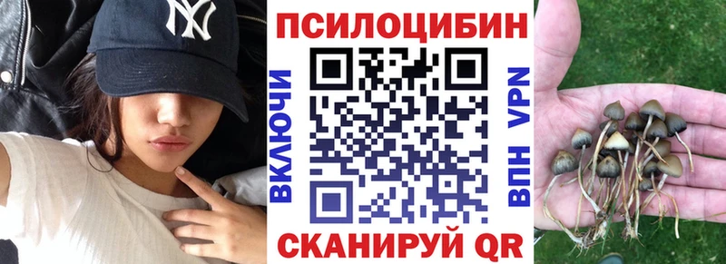 Псилоцибиновые грибы Psilocybe  Колпашево 